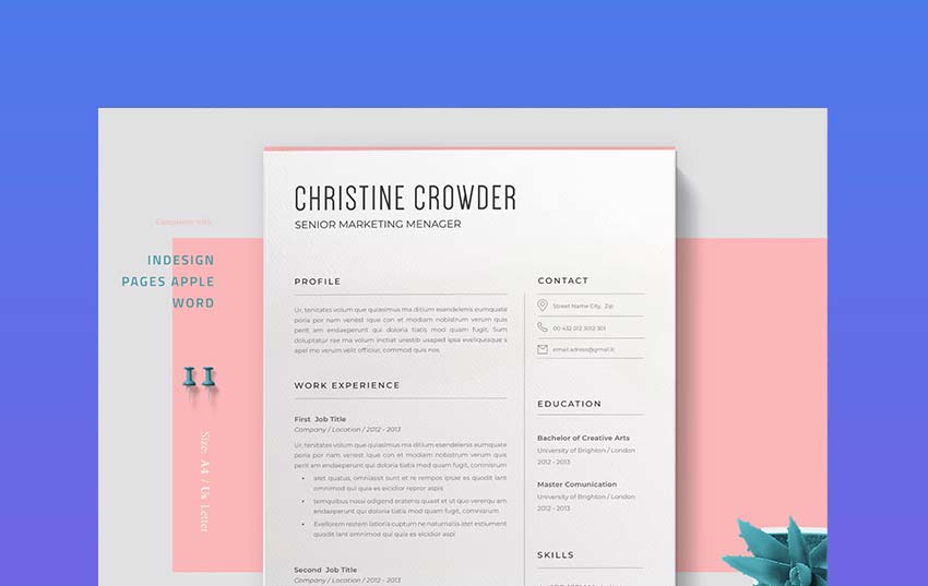 professional resumes