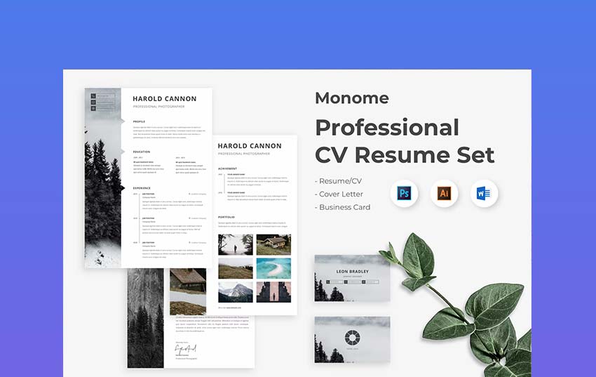 professional resumes