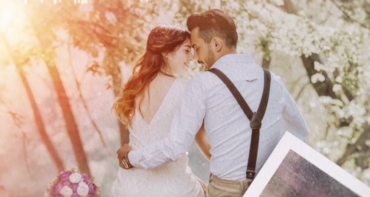 Wedding Video Transitions