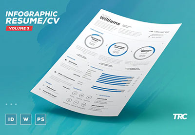 Infographic Resume Cv Volume 3