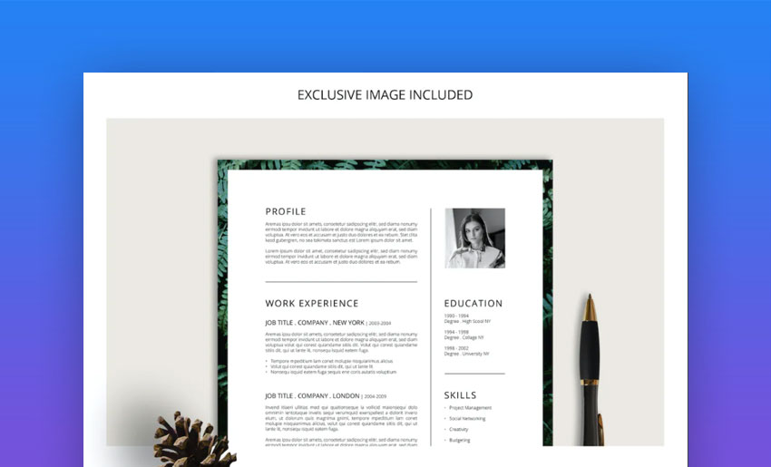 FERNS resume cv cover letter