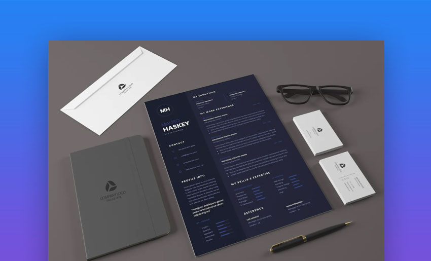 Professional CV resume template